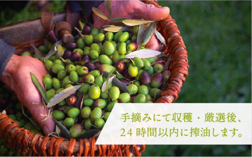 オリーブ抹茶のジンジャーシロップ [JDU007] 11000 11000円