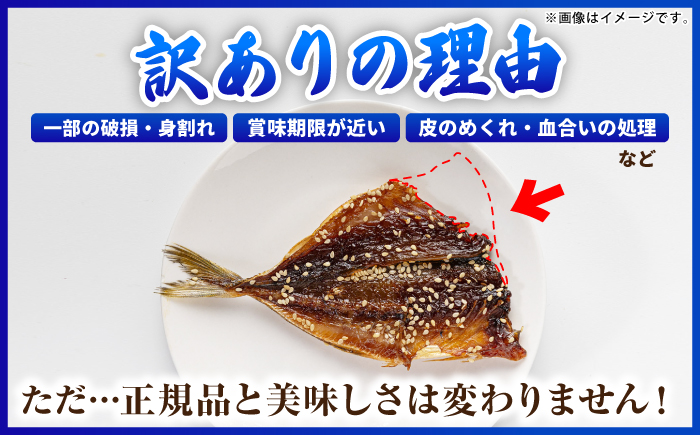【訳あり】大量干し物セット《壱岐市》【馬渡水産】訳あり 訳アリ あじ アジ いわし イワシ かます カマス いか イカ さば サバ 鯵 鰯 鯖 干物 ひもの 干物セット 冷凍配送 [JAQ009]