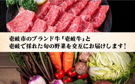 【全6回定期便】《A4〜A5ランク》壱岐牛と旬の野菜定期便《壱岐市》【壱岐市農業協同組合】 [JBO078] 壱岐牛 肉 黒毛和牛 野菜 旬 詰め合わせ 贅沢 BBQ 152000 152000円