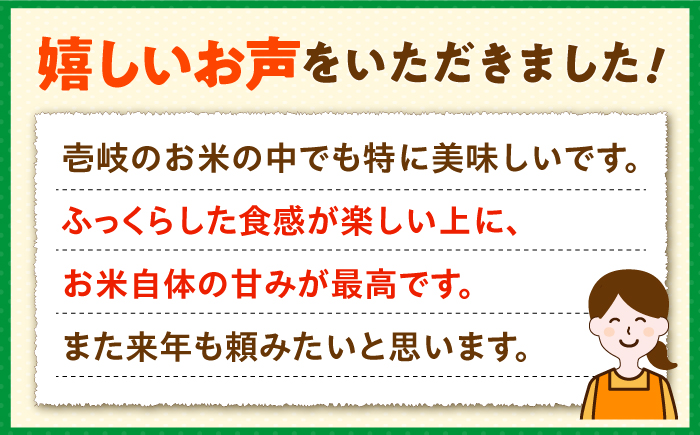 壱岐産 にこまる 10kg 《壱岐市》【壱岐市農業協同組合】[JBO144] 米 お米 ご飯 ごはん 白米 お弁当 新米 朝食 常温 20000 20000円