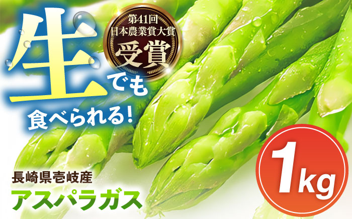 壱岐産 アスパラガス 1kg（L〜2Lサイズ）《壱岐市》【壱岐市農業協同組合】[JBO004] 野菜 旬 春野菜 夏野菜 新鮮 産地直送 アスパラ 冷蔵配送 先行予約 季節の野菜 グリーンアスパラガス 13000 13000円
