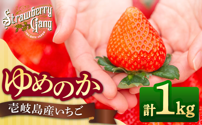 【先行予約】ゆめのか 約250g×4パック【2026年1月以降順次発送】《壱岐市》【Strawberry Gang】 [JEM001] いちご イチゴ 苺 果物 フルーツ スムージー 15000 15000円