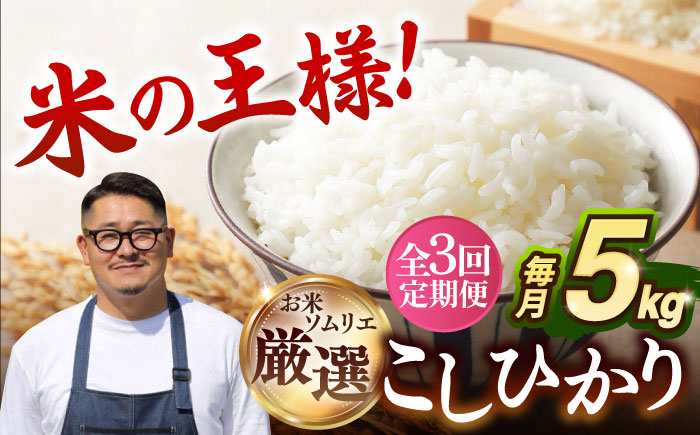 【全3回定期便】 壱岐産米 こしひかり 5kg 《壱岐市》【長米壱岐営業所】 [JCZ031]