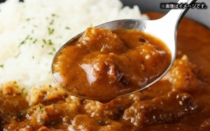 【全12回定期便】壱岐牛サーロインステーキ＆壱岐牛カレープレミアムセット《壱岐市》【壱岐フードファクトリー】カレー サーロイン ステーキ 壱岐牛 [JDW127]