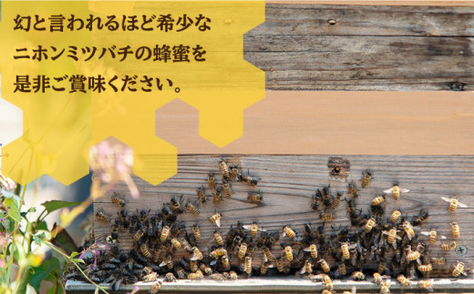 ニホンミツバチ 生蜂蜜 1,200×2（化粧箱付き） 《壱岐市》【憲ちゃんハチミツ】[JCL008] ハチミツ 蜂蜜 日本蜜蜂 ギフト プレゼント 贈り物 化粧箱 117000 117000円 