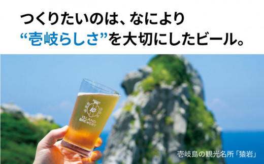 【全12回 定期便 】クラフトビール 地ビール  24本詰め合わせ（3種類×8本）【ISLAND BREWERY】 《 壱岐市 》[JED032]    700000 700000円 70万円