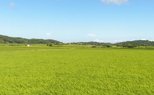 3. 未来を育む子育てと学びの島
