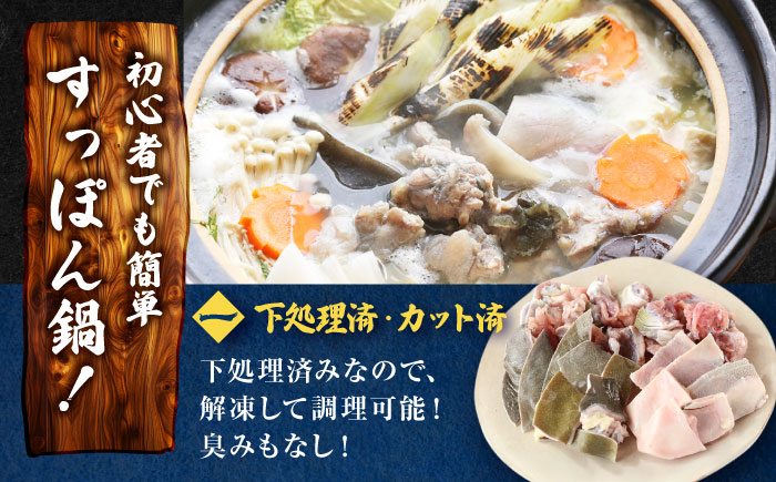 すっぽん鍋 セット 2人前 五島市/丸隆すっぽん養殖場[PBL003]  スッポン コラーゲン 鍋 美容