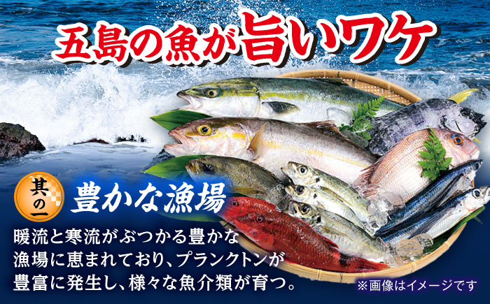 【6回定期便】五島のお魚！満喫定期便（4人前）/五島市 [PZX055]