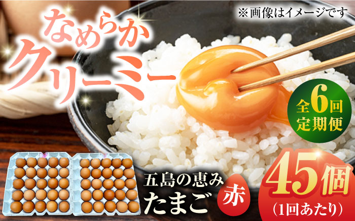 【全6回定期便】【お得な箱入り】五島の恵みたまご M〜Lサイズ 45個入 / 卵 赤玉子 五島市 / 五島列島大石養鶏場 [PFQ049]