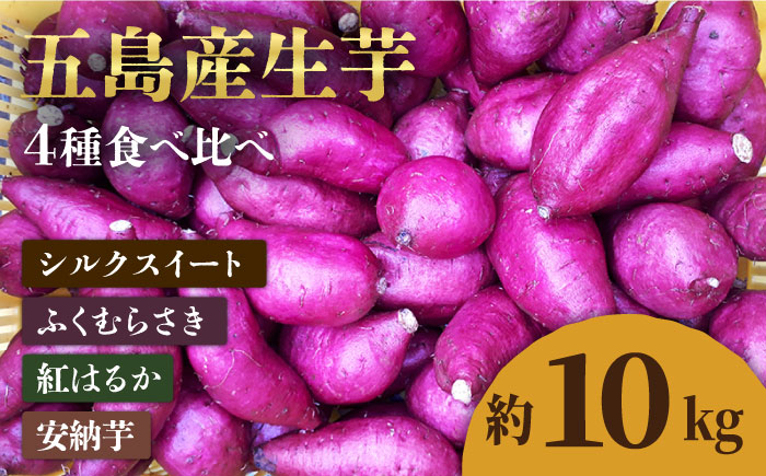 【2025年1月先行予約】五島産生芋10kg 安納芋 シルクスイート 紅はるか ふくむらさき いも 五島市/芋蔵林 [PDO008]