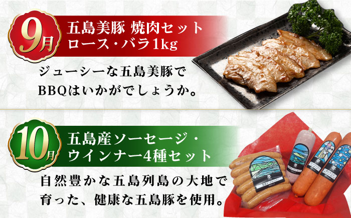 【肉づくし全12回定期便】五島産のいろんなお肉が毎月届く！お肉大集合スペシャル/五島市 [PZX005]