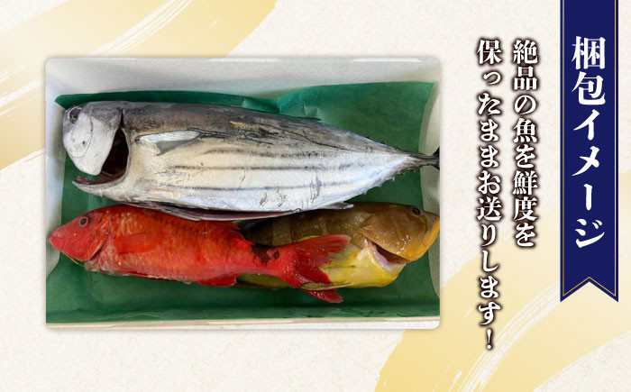 旬の地魚セット2kg（ウロコ・エラ・内臓処理済）鮮魚 魚介 刺身 五島市 / 五島FF [PBJ009]