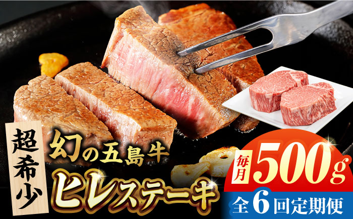 【6回定期便】五島牛 ヒレ 250g×2枚 五島市/ごとう農業協同組合 [PAF098]