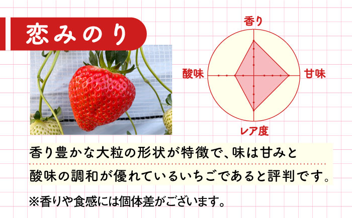 【五島特選！農家直送】ピチピチいちご 恋みのり 計1080g （270g×4パック） 五島市/野原農園 [PCM005]