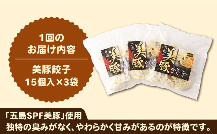 【全6回定期便】美豚ちゃんと餃子のバラエティセット（3種×3袋 計9袋詰合せ）【長崎フードサービス】 [PEL032]