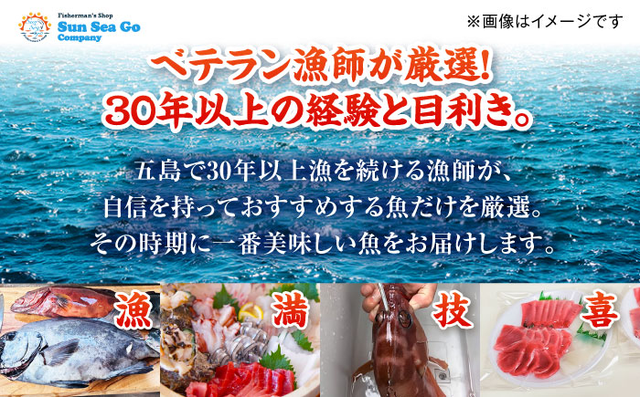 【3回定期便】漁師の極み刺身パック（匠）1皿 五島市/Sun Sea Go Company 魚 おまかせ お任せ 鮮魚 五島列島 [PGL022]