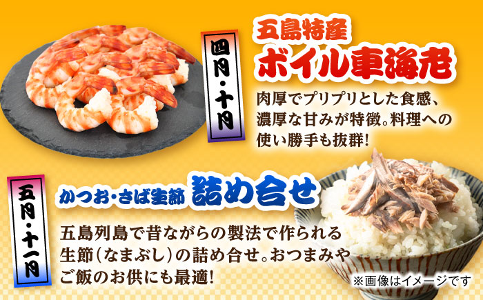 【12回定期便】五島のお魚！満喫定期便（2人前）/五島市 [PZX054]