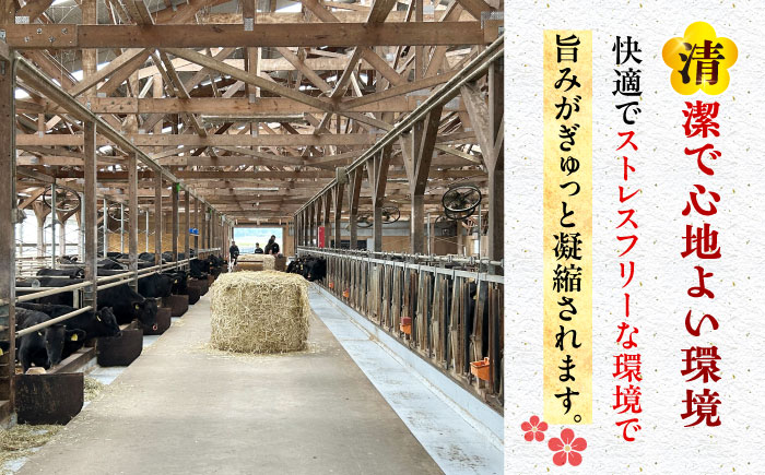 【3回定期便】五島列島産 黒毛和牛 焼肉上カルビ 500g 五島市/山口Farm [PGJ058]