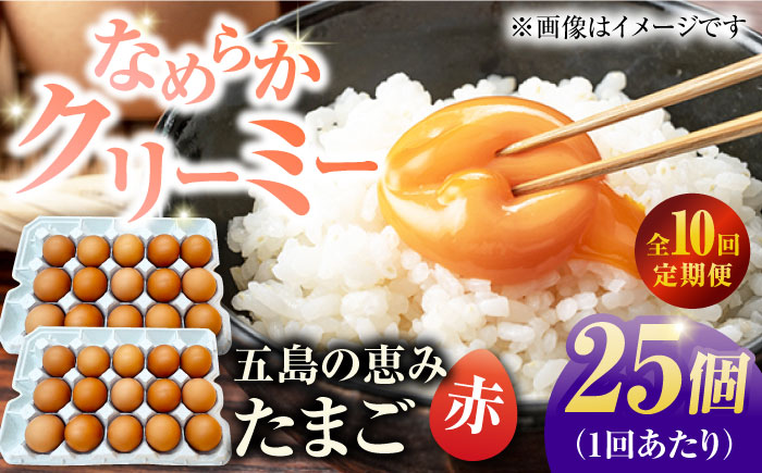 【10回定期便】【お得な箱入り】五島の恵みたまご M〜Lサイズ 25個入 / 卵 赤玉子 五島市 / 五島列島大石養鶏場 [PFQ047]