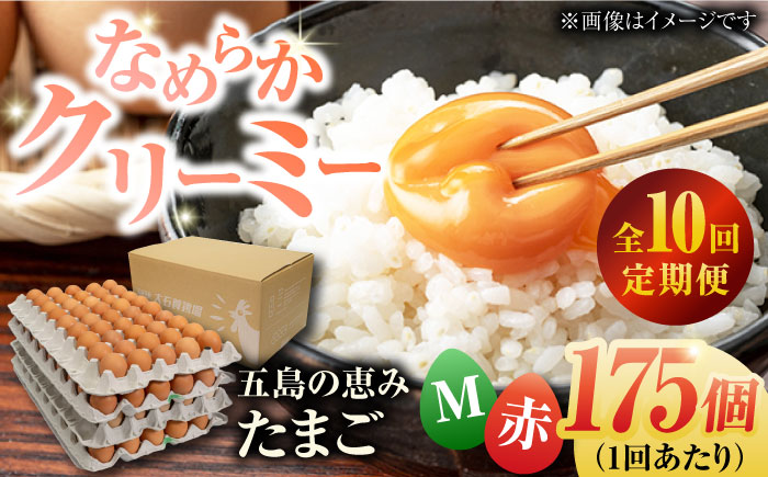 【全10回定期便】【お得な箱入り】五島の恵みたまご Mサイズ 175個入 / 卵 赤玉子 五島市 / 五島列島大石養鶏場 [PFQ022]