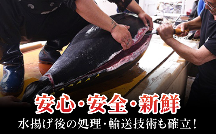 【全3回定期便】本マグロ (養殖) ブロック 詰合せ 計3kg (1kg×3回) 刺身【奥浦海鮮直売所】 [PCL009]