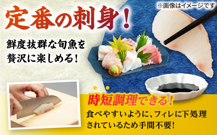 【五島列島産】高級朝獲れ鮮魚 約3kg（真空パック/下処理済） 五島市/マルセイ水産[PBT001]  刺身 五島 久賀島 海鮮 セット 旬 さかな さしみ 
