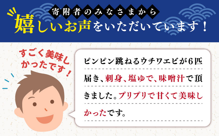 【2026年先行予約】うちわえび約500g（3-9尾） 五島市/五島FF[PBJ011] 希少 ウチワエビ うちわエビ 海老 えび 旬 新鮮 海鮮