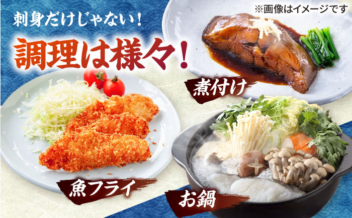 【五島列島産】高級朝獲れ鮮魚 約3kg（真空パック/下処理済） 五島市/マルセイ水産[PBT001]  刺身 五島 久賀島 海鮮 セット 旬 さかな さしみ 