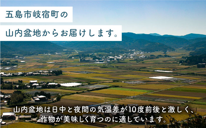 【冷めてもおいしい】五島産 ミルキー舞 5kg ミルキークイーン 五島市/ファームランド五島 [PBN003]