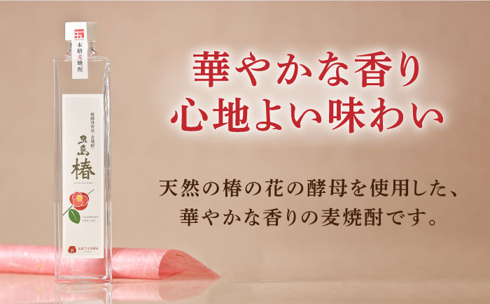 【全3回定期便】長崎・五島列島酒造 麦焼酎 五島椿 500ml Alc.23% お酒 焼酎 五島市/五島列島酒造 [PAH014]