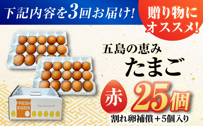 【3回定期便】【お得な箱入り】五島の恵みたまご M〜Lサイズ 25個入 / 卵 赤玉子 五島市 / 五島列島大石養鶏場 [PFQ045]