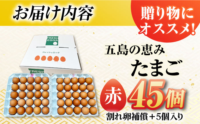 【お得な箱入り】五島の恵みたまご M〜Lサイズ 45個入 / 卵 赤玉子 五島市 / 五島列島大石養鶏場 [PFQ038]