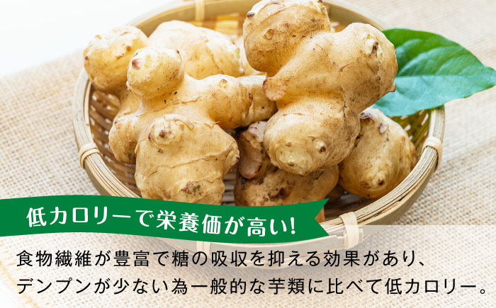 生キクイモ（菊芋）2kg 五島市/五島列島自然のめぐみ [PGM005]