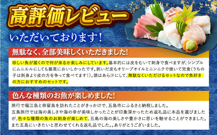 【五島列島産】高級朝獲れ鮮魚 約3kg（真空パック/下処理済） 五島市/マルセイ水産[PBT001]  刺身 五島 久賀島 海鮮 セット 旬 さかな さしみ 