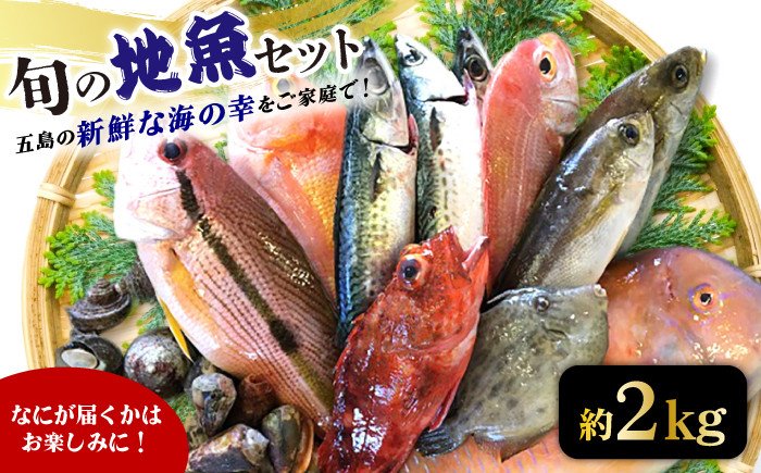 旬の地魚セット 約2kg 刺身 魚 海の幸 五島市 / 五島FF [PBJ010]