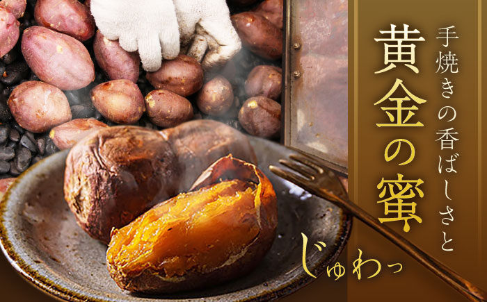 【12回定期便】【3年連続日本一】焼き芋 ごと芋プレミアム 350g×4袋 五島市/ごと[PBY054] レンジで簡単 サツマイモ おやつ 小分け さつまいも 芋
