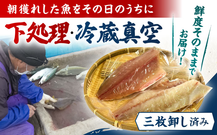 【全3回定期便】金澤仕立て 鮮魚ボックス 旬の魚2種 鮮魚 簡単 旬 海鮮 真空 冷蔵 五島市/金沢鮮魚 [PEP009]