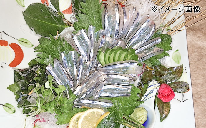 朝獲れきびなご刺身セット(きびなご丸ごと16尾パック×5、きびなご手引刺身16尾パック×5） 五島市/有限会社心誠 [PCG018]