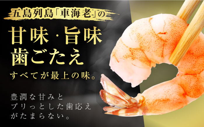 五島特産 ボイル 車海老 エビ 尾付き むきえび 500g (250g×2P) 五島市/拓水 五島事業場 [PCU004]