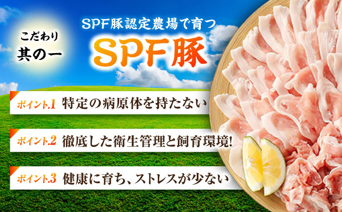 【6回定期便】五島美豚 薄切り2kg (ロース1kg/バラ1kg) 五島市/ごとう農業協同組合 [PAF059]