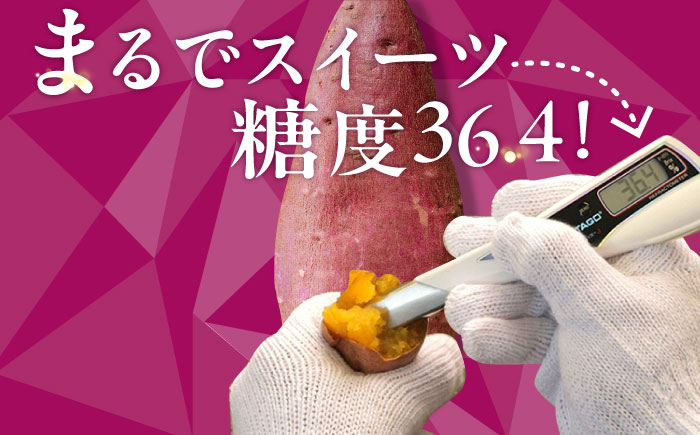 【孤独のグルメ コラボ】【3年連続日本一！】ごと芋 300g×6袋 / 冷凍 焼き芋 レンジ さつまいも 安納芋 五島市 / ごと [PBY003]