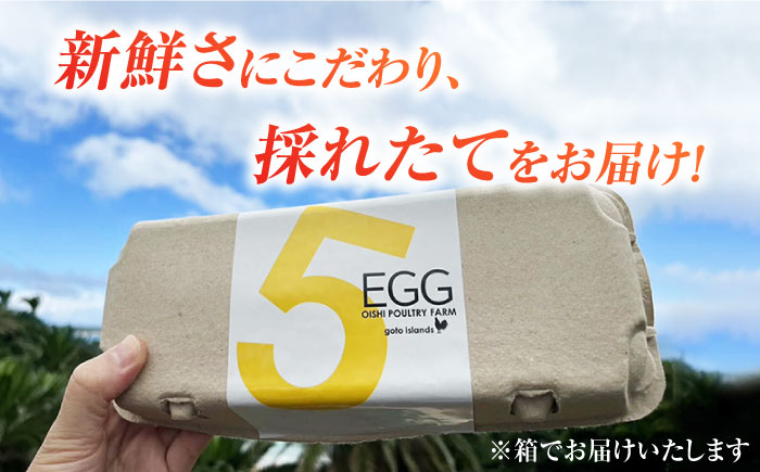 【全3回定期便】【お得な箱入り】平飼たまご ファイブエッグ M〜Lサイズ 70個 / 5EGG 卵 赤玉子五島市 / 五島列島大石養鶏場 [PFQ029]