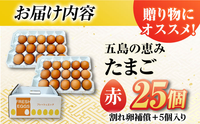 【お得な箱入り】五島の恵みたまご M〜Lサイズ 25個入 / 卵 赤玉子 五島市 / 五島列島大石養鶏場 [PFQ037]