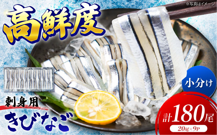 五島産 きびなご 刺身用 180尾（20尾×9パック） 五島市/鯛福丸水産[PDP001]きびなご