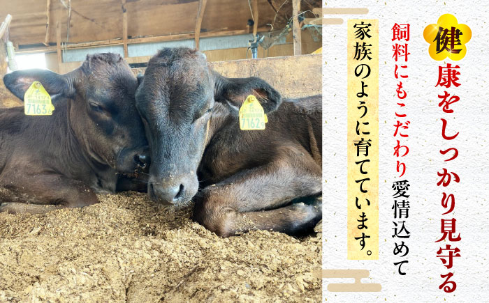 【6回定期便】五島列島産 黒毛和牛 こま切れ 1kg 五島市/山口Farm [PGJ063]