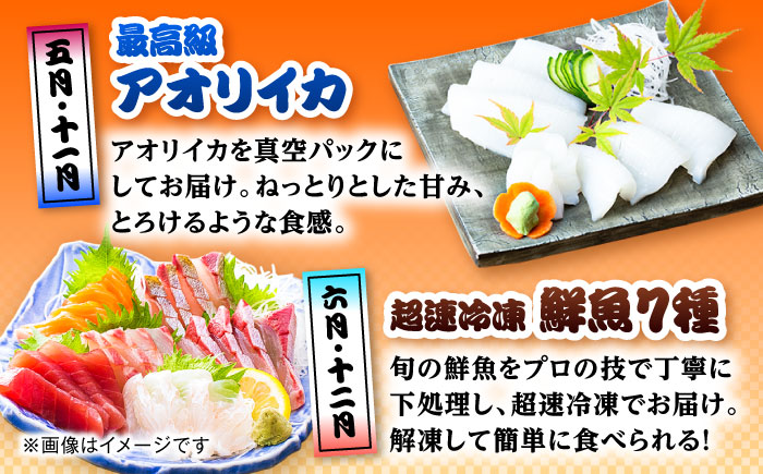 【12回定期便】五島のお魚！満喫定期便（4人前）/五島市 [PZX056]