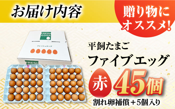 【お得な箱入り】平飼たまご ファイブエッグ M〜Lサイズ 45個 / 5EGG 卵 赤玉子 五島市 / 五島列島大石養鶏場 [PFQ036]