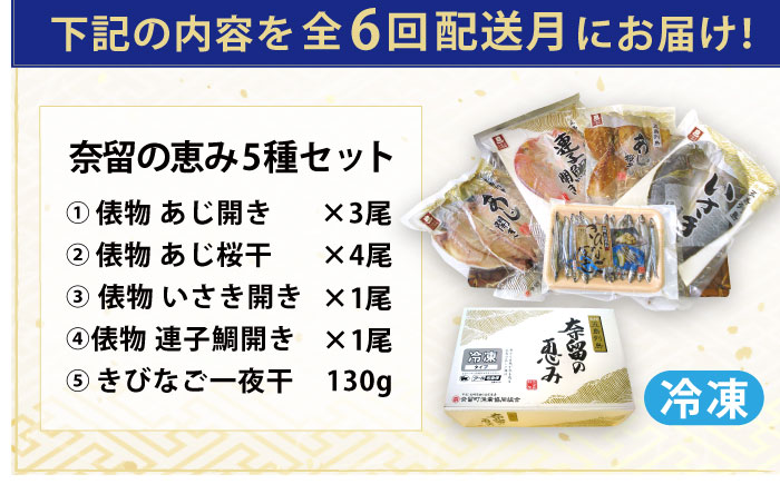 【全6回定期便】長崎俵物 干物 5種セット 五島列島 奈留の恵み ひもの 一夜干し【奈留町漁業協同組合】 [PAT007]