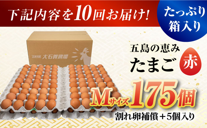 【全10回定期便】【お得な箱入り】五島の恵みたまご Mサイズ 175個入 / 卵 赤玉子 五島市 / 五島列島大石養鶏場 [PFQ022]